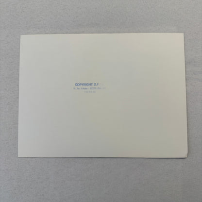 Vintage Rally Racing Photo Photograph Print DPPI Hillman Sunbeam Imp Car