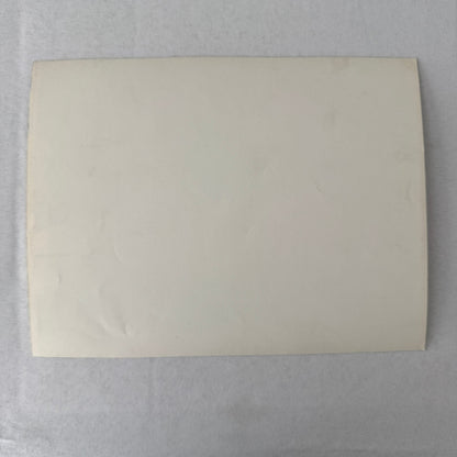 Vintage Movie Still Press Photo Photograph What a Way to Go Robert Mitchum 1964