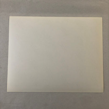 Movie Film Press Photo Photograph Thin Ice Hollywood Golden Age 1993