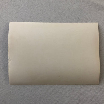 Vintage Motorcycle Sidecar Racing Photo photograph Germany Side Car