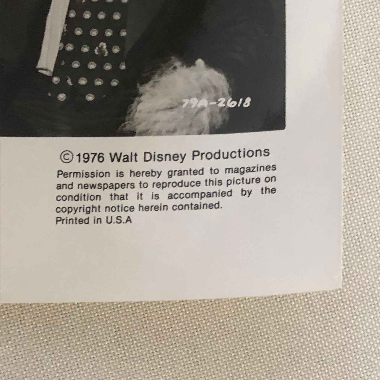 Walt Disney Channel The Shaggy D.A. Dog 1976 Press Photo Photograph Movie Film