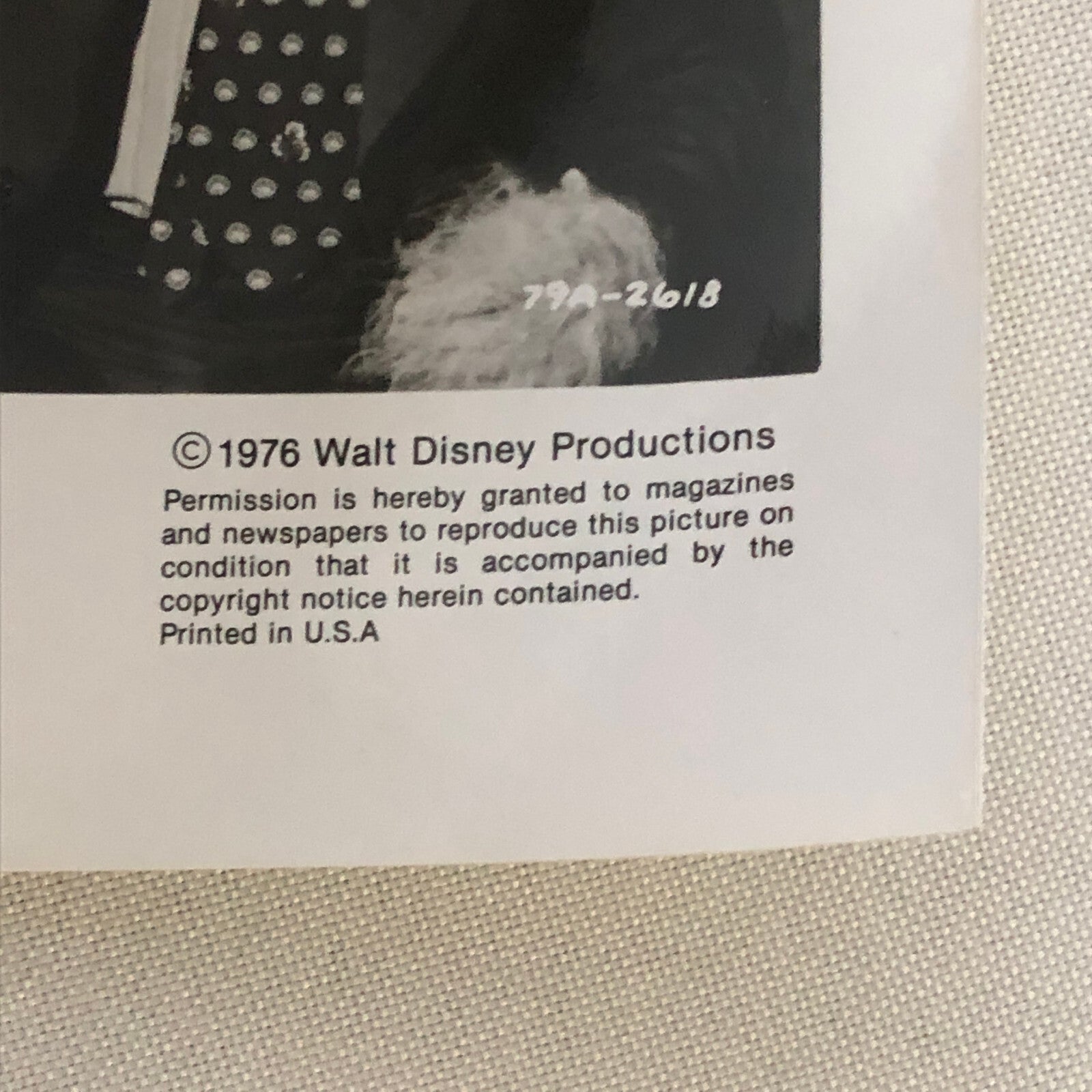 Walt Disney Channel The Shaggy D.A. Dog 1976 Press Photo Photograph Movie Film