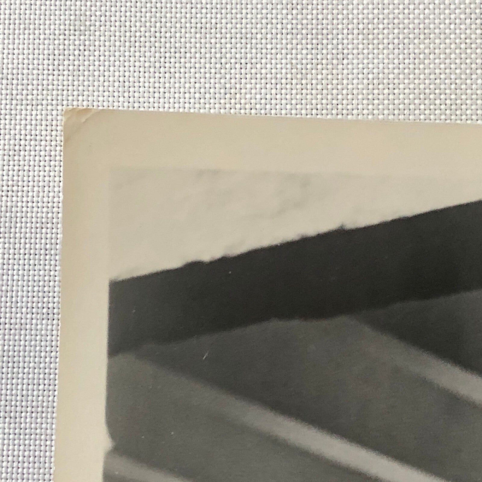 Merle Oberon Steve Cochrane Of Love and Desire Movie Press Photo Photograph 1963