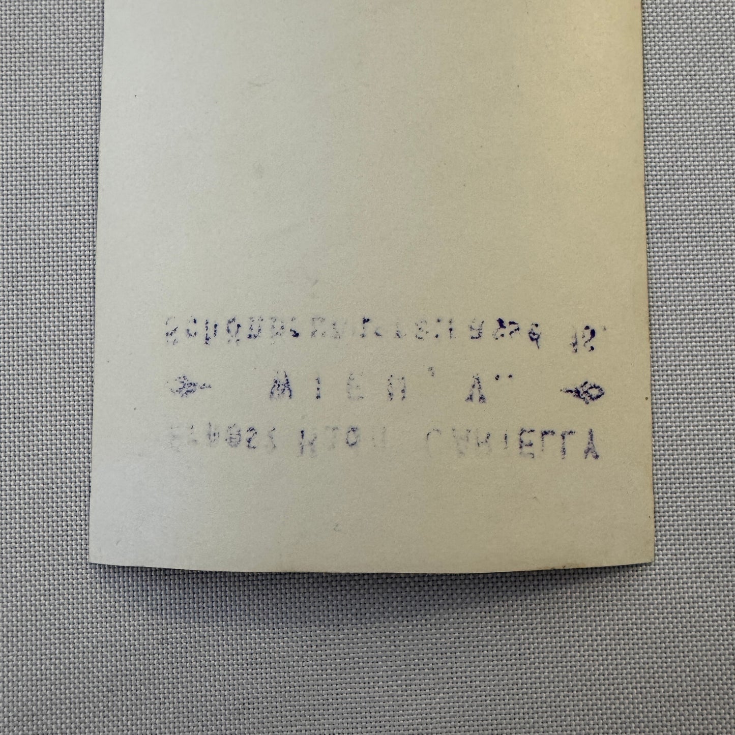 Circus Rollerskating Roller Skate Circus Act with Band Photo Photograph Vintage