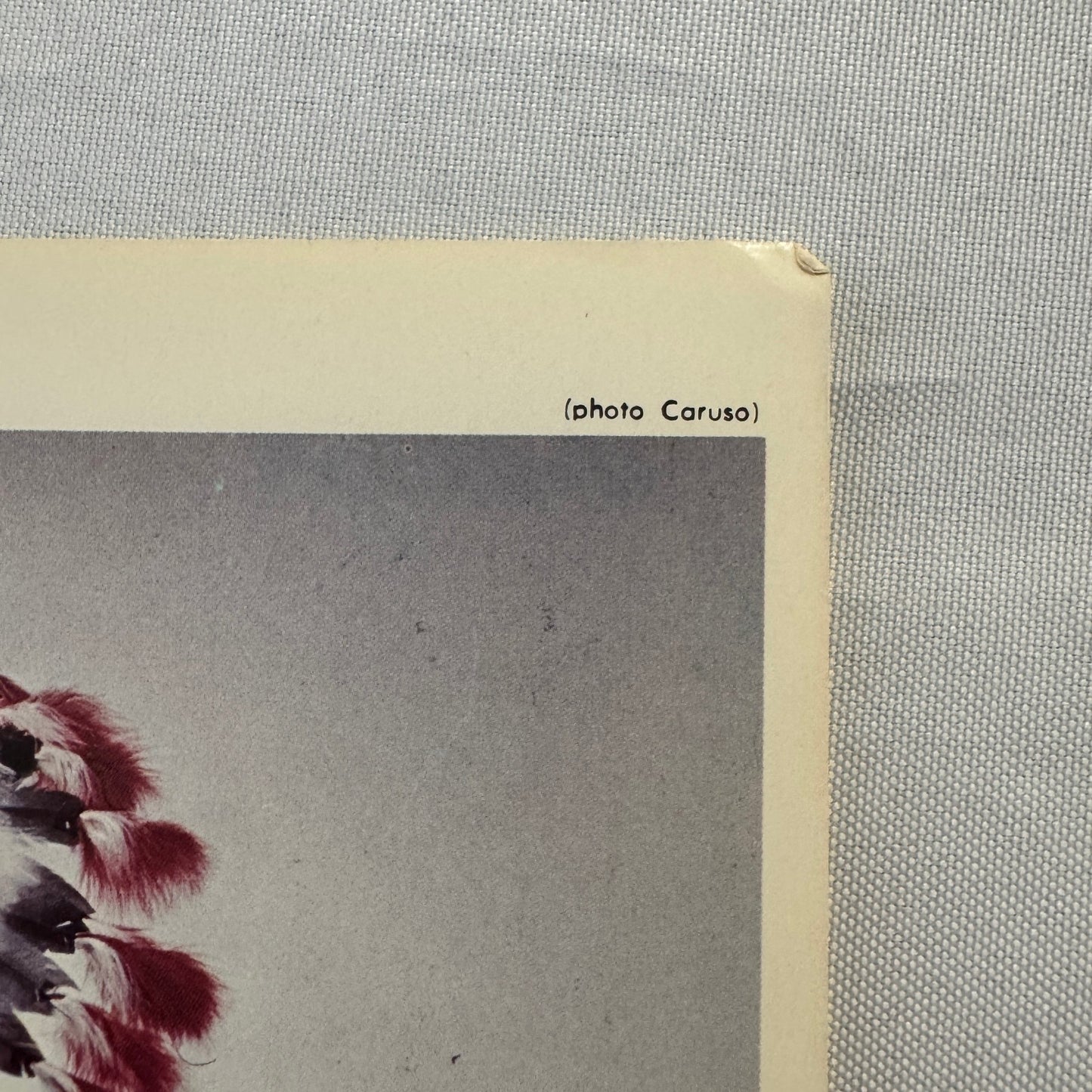 Vintage Wrestling Print Insert Johnny War Eagle Quebec French 1973