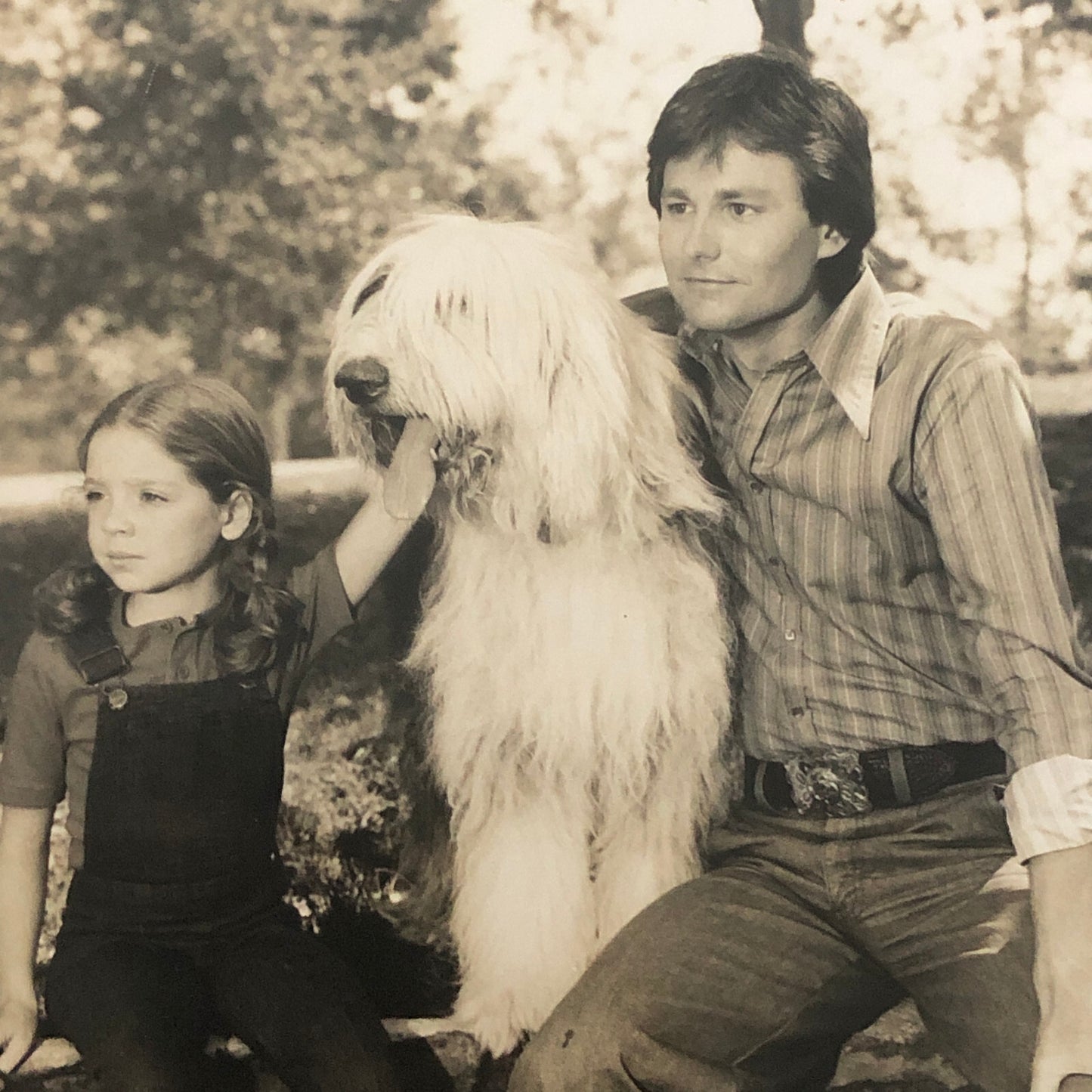 McDuff the Talking Dog 1976 NBC Television TV Press Photo Photograph Sheepdog