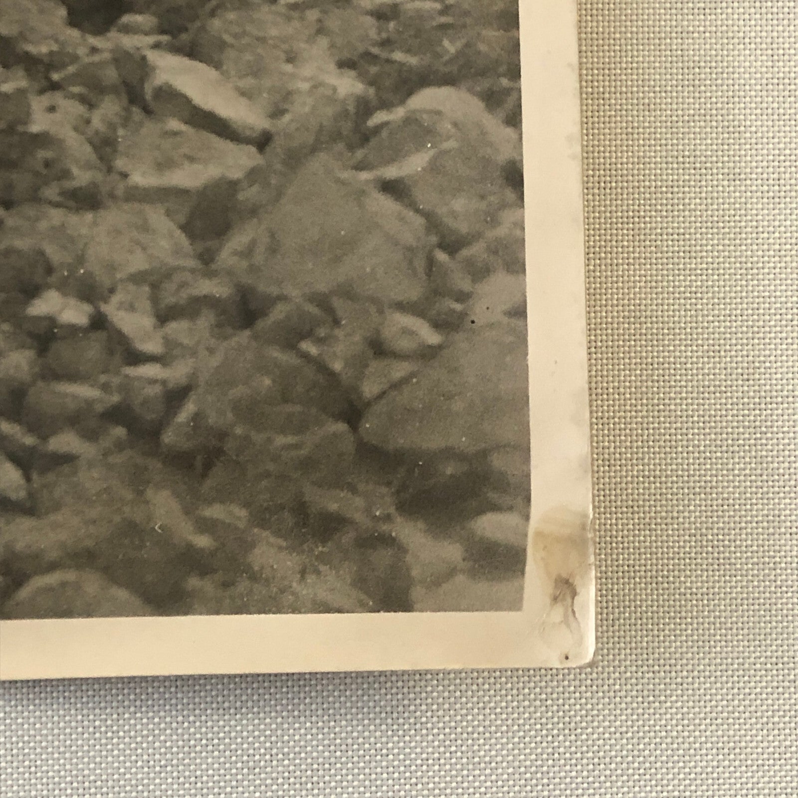 Press Photo Photograph Australia Flood Disaster Railway Train Track Damaged 1934
