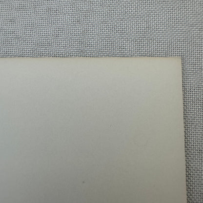 Nelson Piquet Alfa Romeo Brabham Vintage Grand Prix Racing Photo Photograph