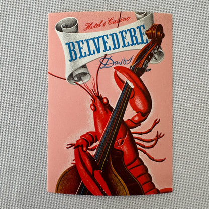 Vintage Hotel Travel Luggage Label Belvedere Hotel and Casino Davos Switzerland