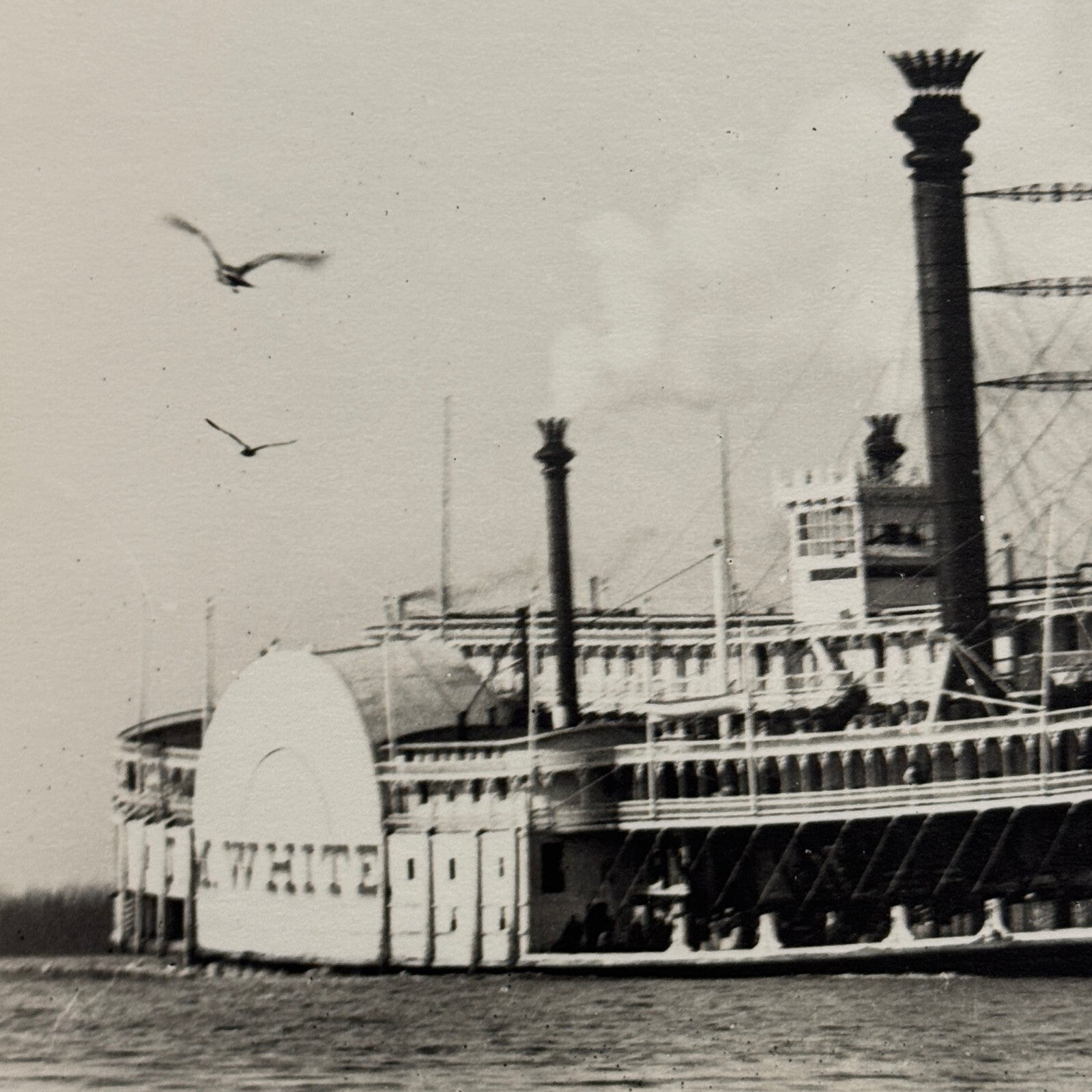Vintage Photo Photograph JM White Steamboat Steam Boat Ship