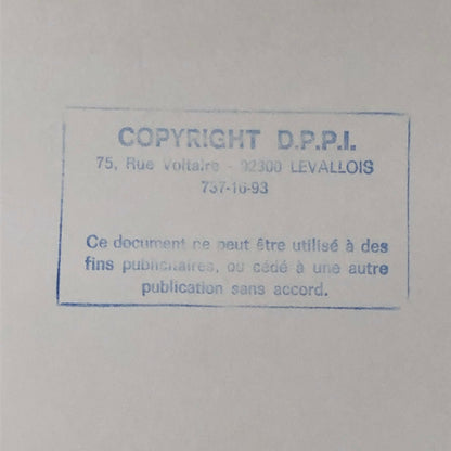 Vintage 1975 Formula 2 F2 Racing Photo Photograph Salzburgring Gabriele Serblin