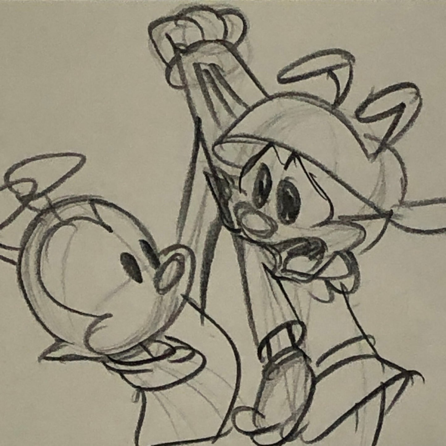 ANIMANIACS Animation Storyboard Illustration Drawing Sketch Story Board Art