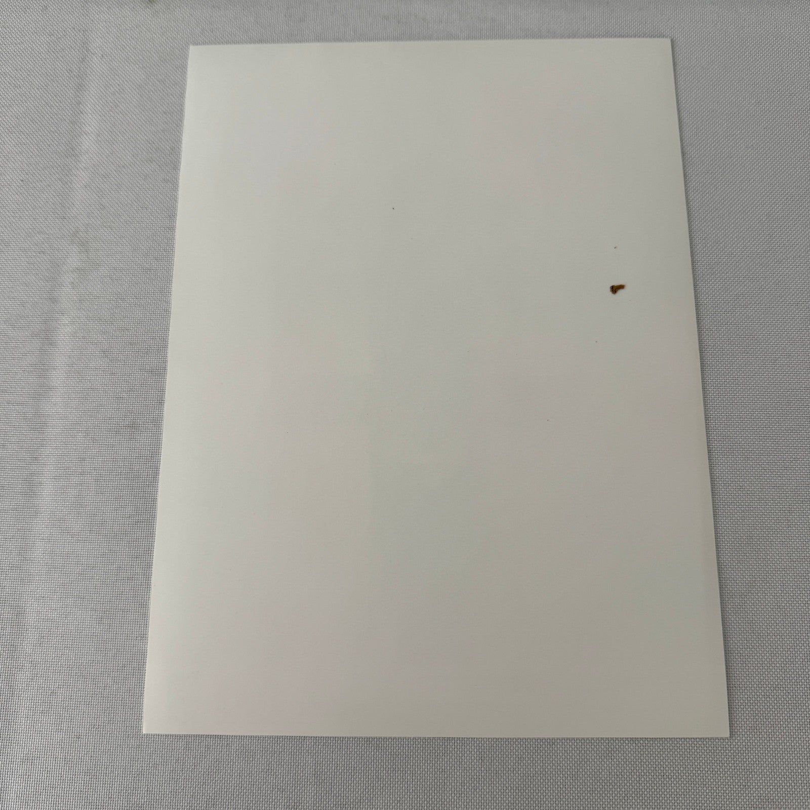 Porsche Quaker State Indy Racing Car Factory Press Photo Photograph Print