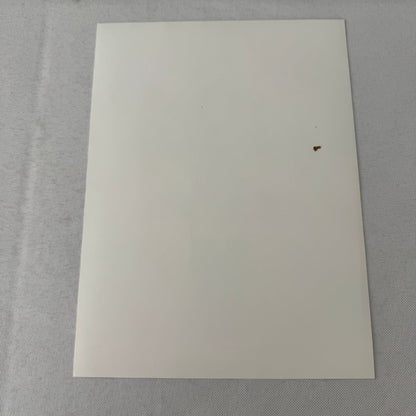 Porsche Quaker State Indy Racing Car Factory Press Photo Photograph Print