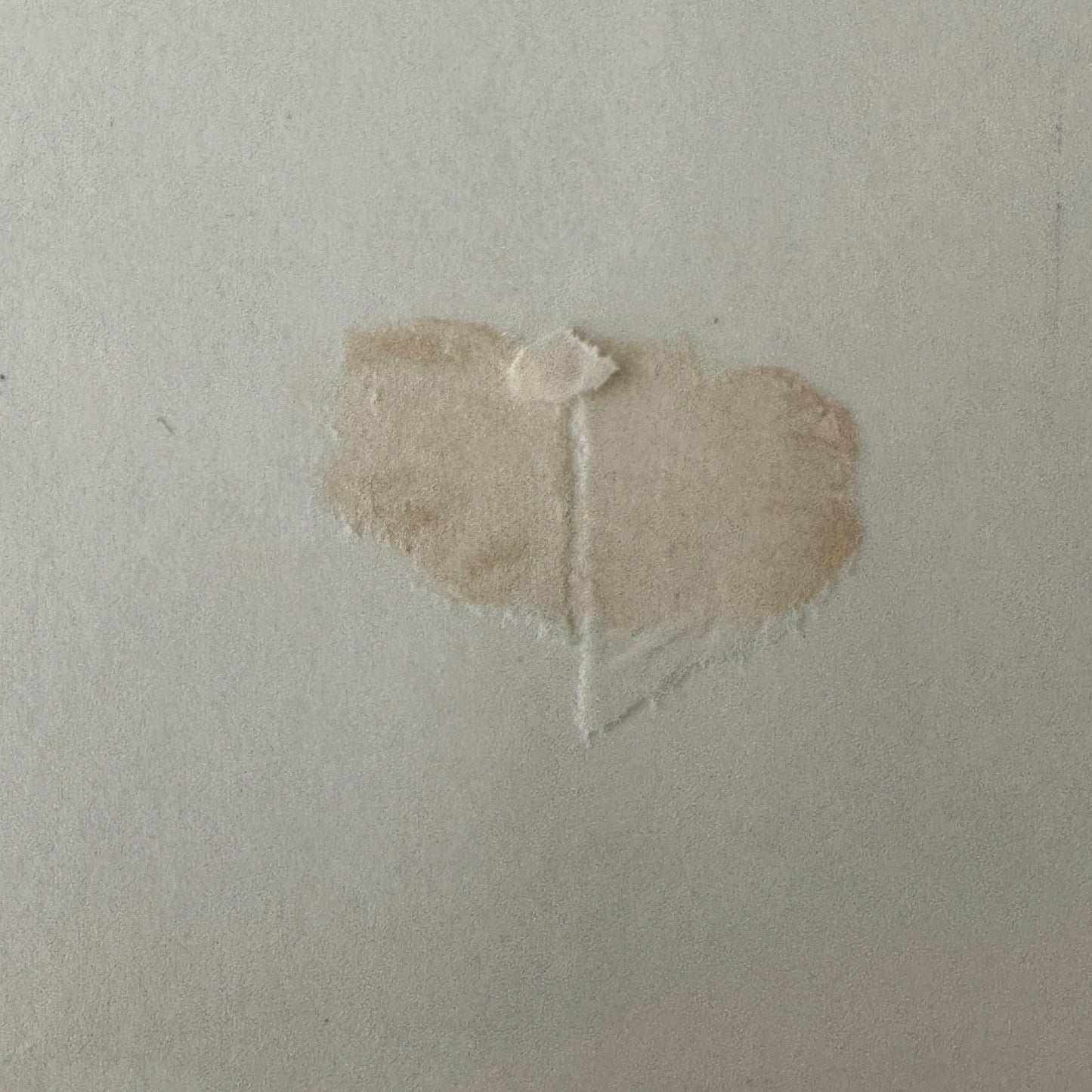 George Follmer and Mark Donohue Porsche Audi L&M Racing Photo Photograph Print