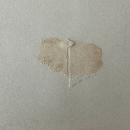 George Follmer and Mark Donohue Porsche Audi L&M Racing Photo Photograph Print