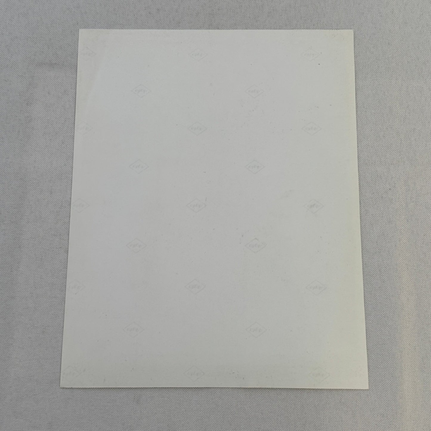 Vintage Movie Press Photo Photograph Other People's Money Danny Devito 1991