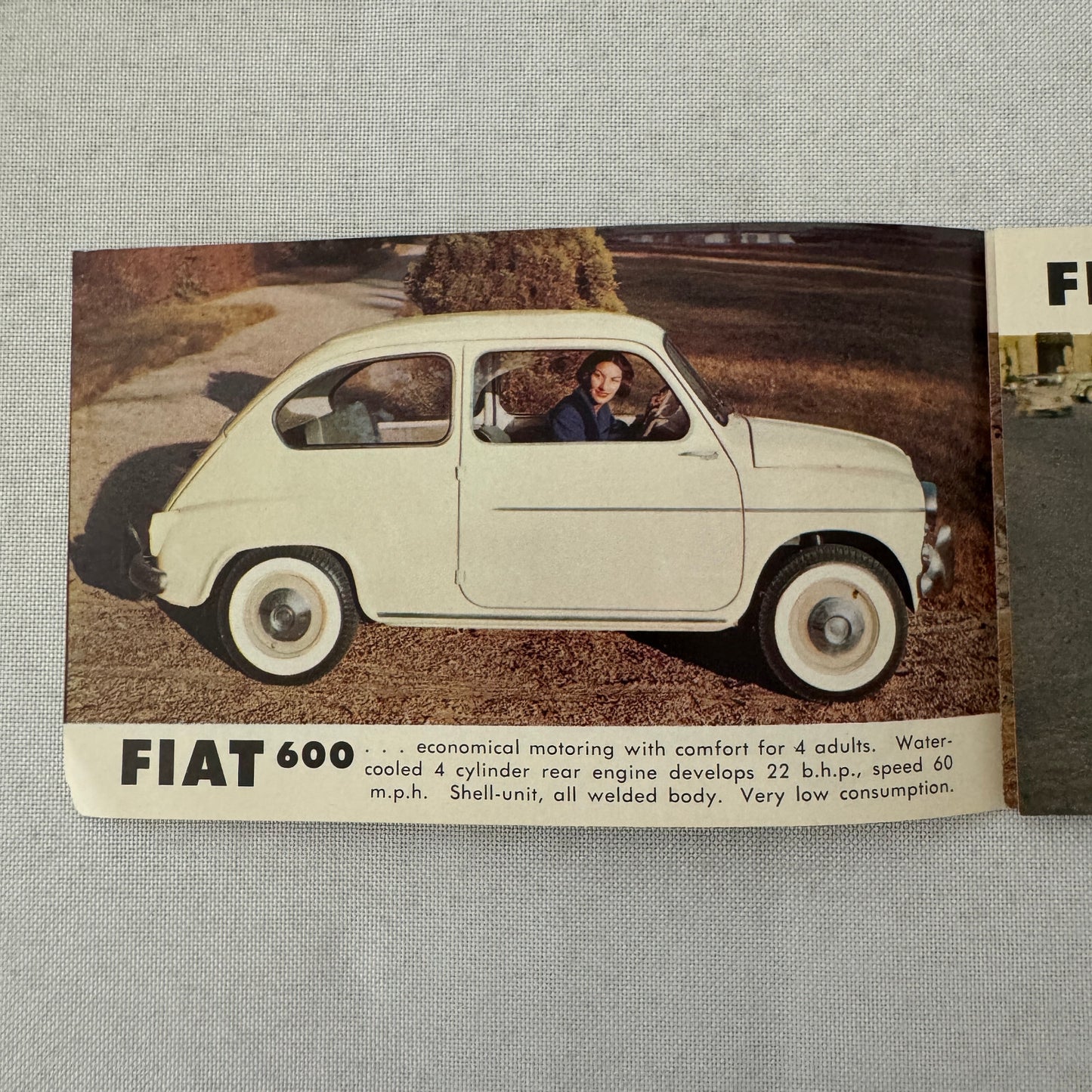 Fiat Car Sales Brochure Catalog Fiat 600 1200 Roadster 600 Multipla 1100 Canada