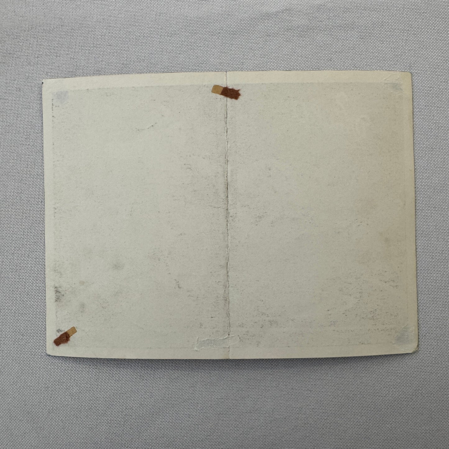 Circus Rollerskating Roller Skate Circus Act Flyer Advertising 2 Donalds