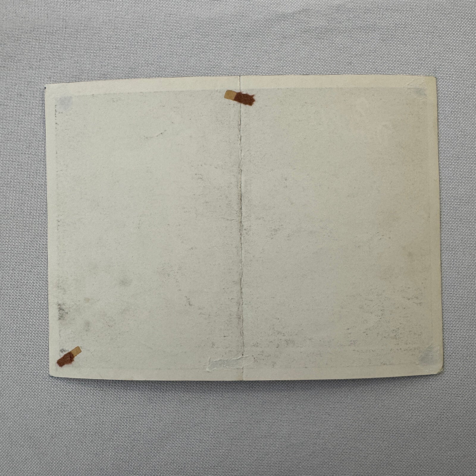 Circus Rollerskating Roller Skate Circus Act Flyer Advertising 2 Donalds