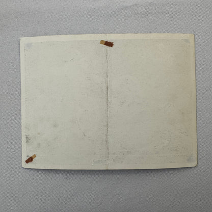 Circus Rollerskating Roller Skate Circus Act Flyer Advertising 2 Donalds