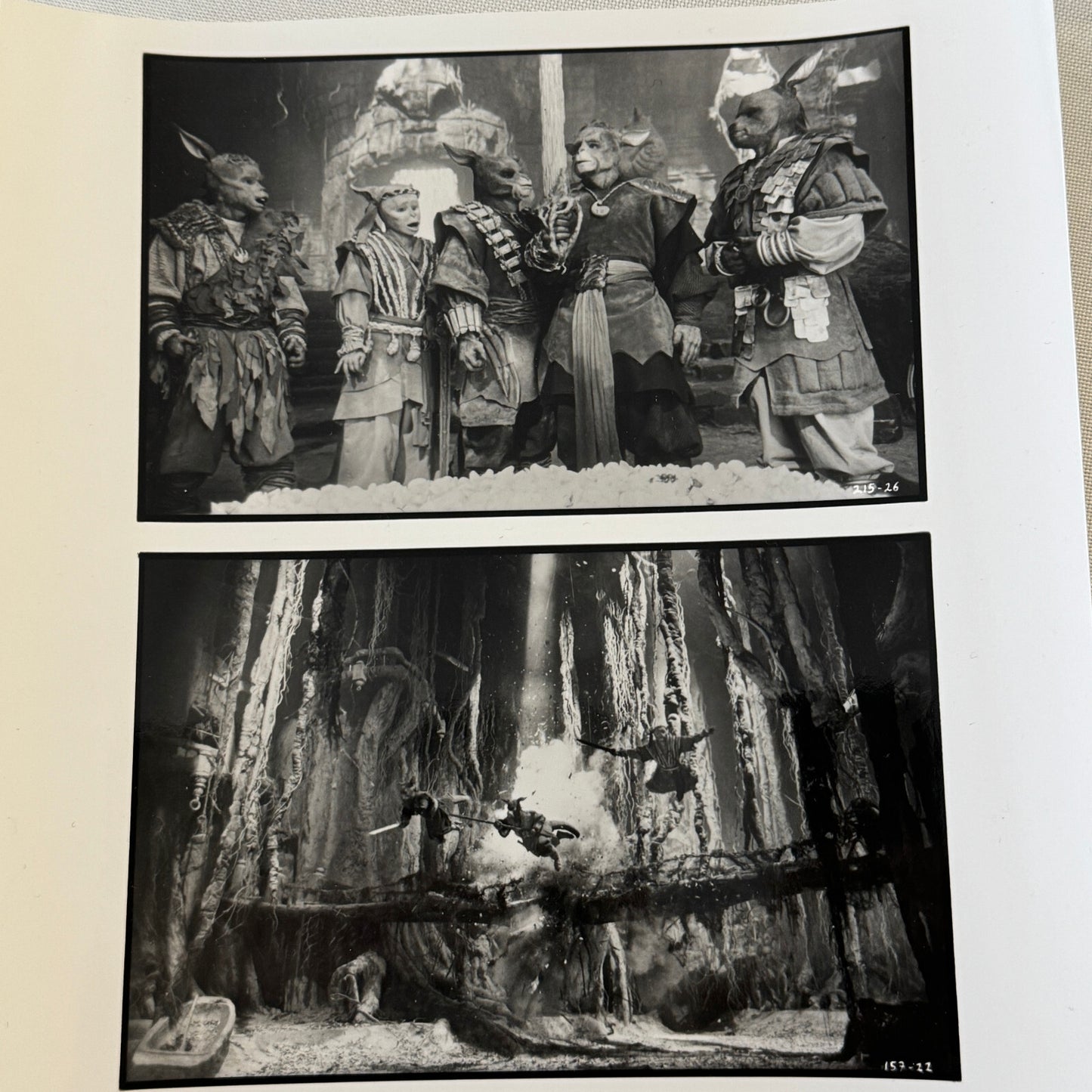 Warriors of Virtue Movie Film Press Photo Photograph 1997