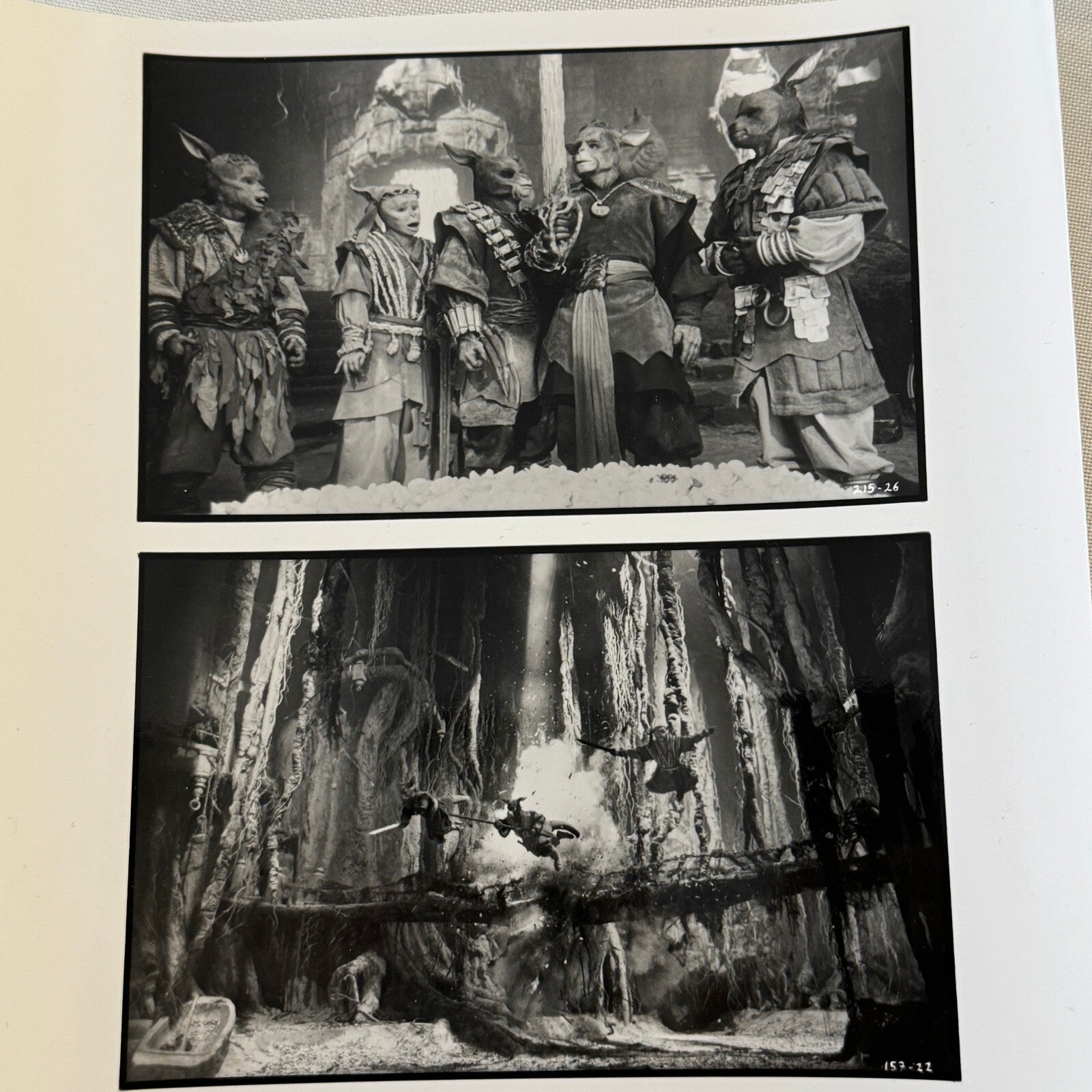 Warriors of Virtue Movie Film Press Photo Photograph 1997