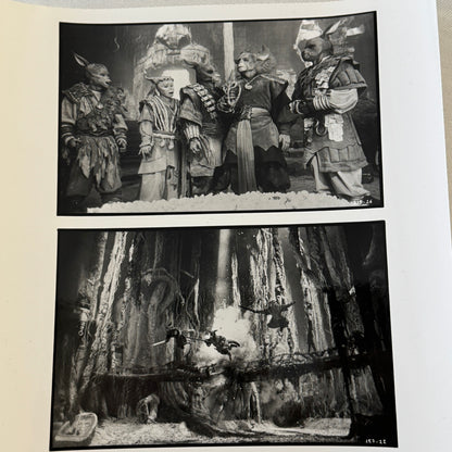 Warriors of Virtue Movie Film Press Photo Photograph 1997