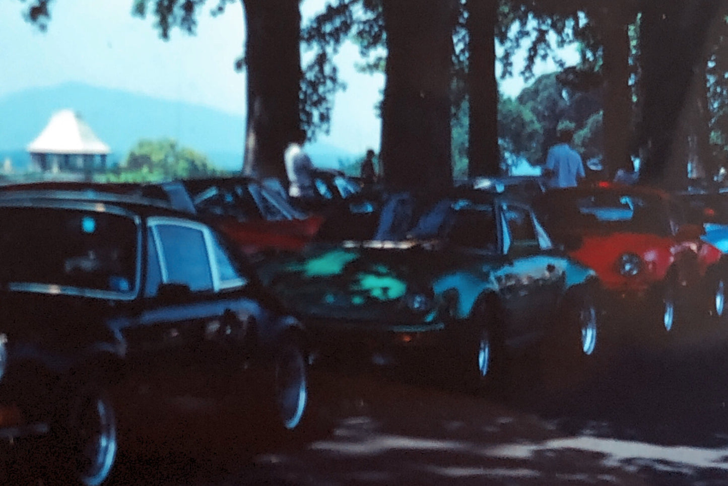 Porsche 911 Car 35mm Photo Slide Vintage 1981