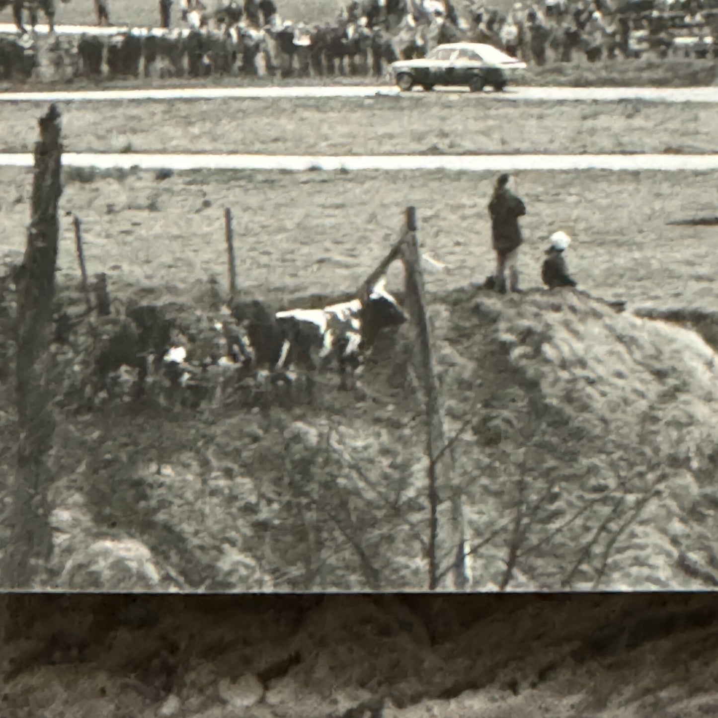 1980 RAC Rally Rallye Car Racing Photo Photograph Vintage Car