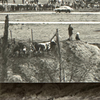 1980 RAC Rally Rallye Car Racing Photo Photograph Vintage Car