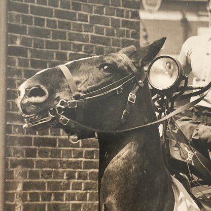 Press Photo Photograph Horse Dressed as Motorcycle Bike London News Agency 1933