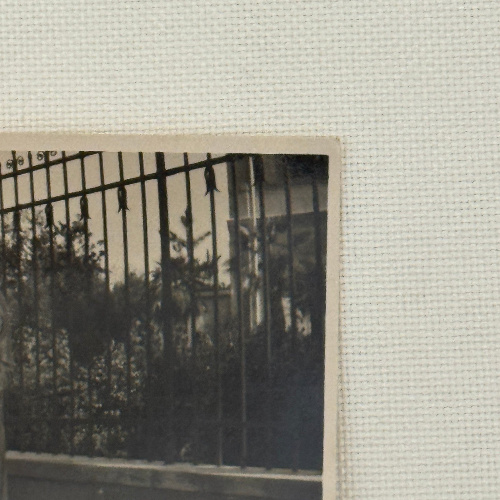 Vintage Car Automobile Photo Photograph Print Women