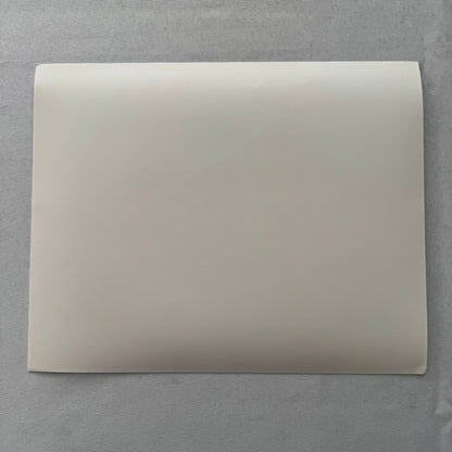 Porsche Quaker State Indy Racing Car Factory Press Photo Photograph Print