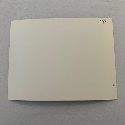 1973 Triumph Toledo Car Factory Press Photo Photograph Print