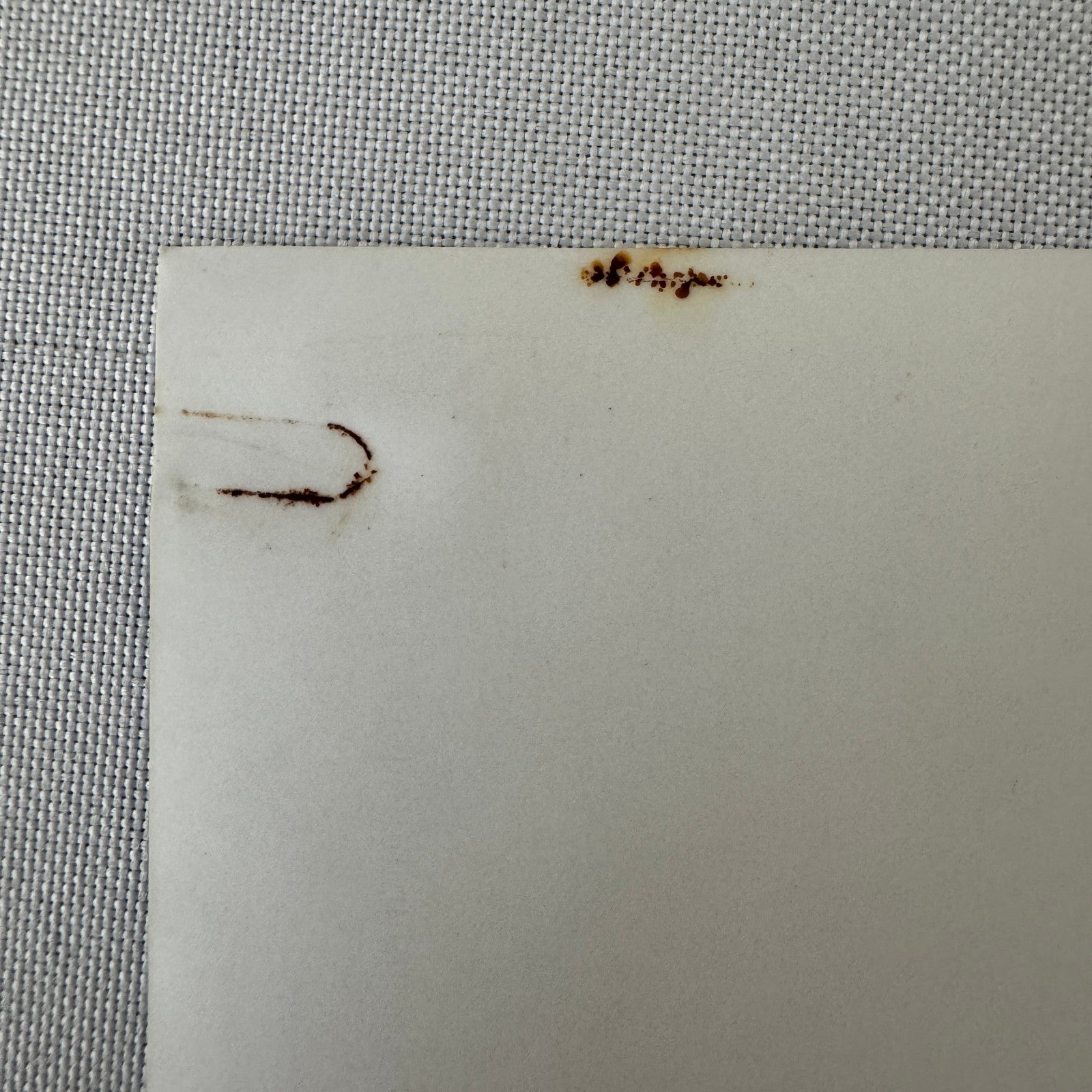 Bob Wollek Lancia Martini Racing Driver Photo Photograph Print 1984 French