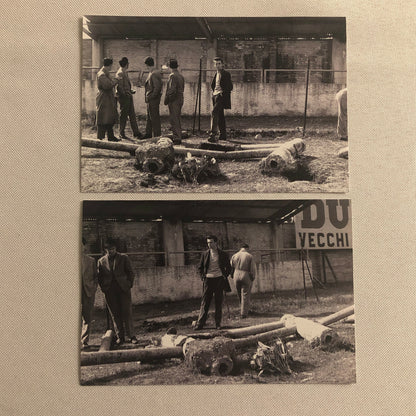 Italian Racing Photo Print Lot of 10 - Mercedes Maserati + Modern 