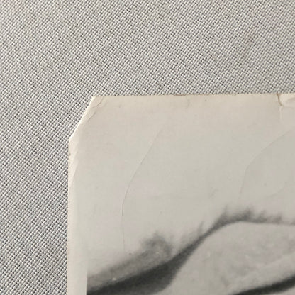 HUGE Celebrity Movie Film Star Still Press Photo Photograph Lot 100+ 1950s-1990s