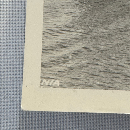 Cunard White Star Line SS RMS Alaunia Ship Boat Press Photo Photograph 1925
