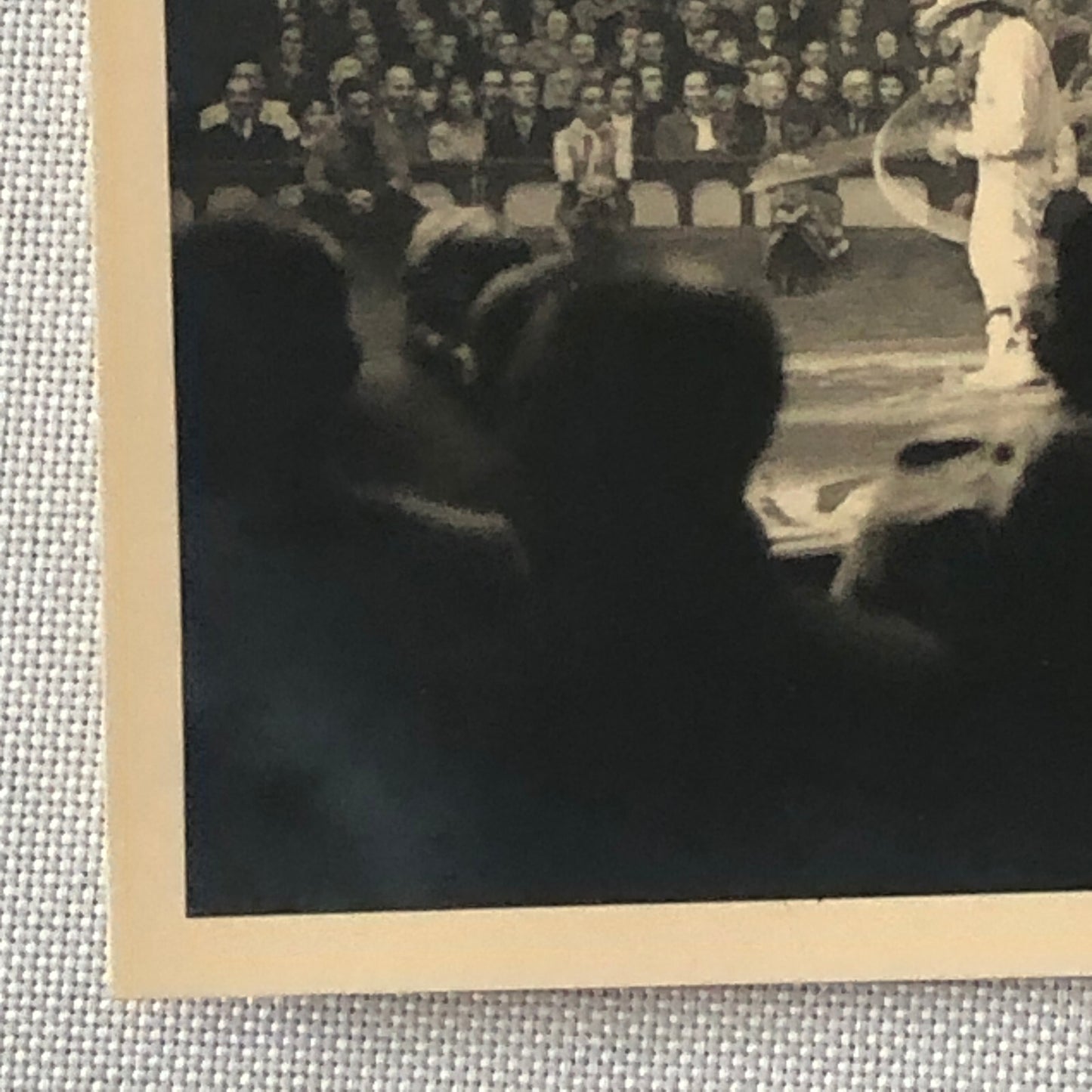 Circus Performer Wild West Show Rope Act Photo Photograph Print Vintage