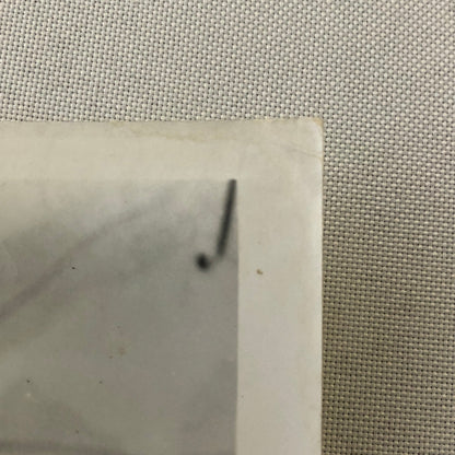 Dick Van Dyke Fitzwilly Movie Film Press Photo Photograph Print 1968