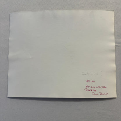 Vintage Mercedes Benz 300SL Gullwing Racing Photo Photograph Pomona 1960