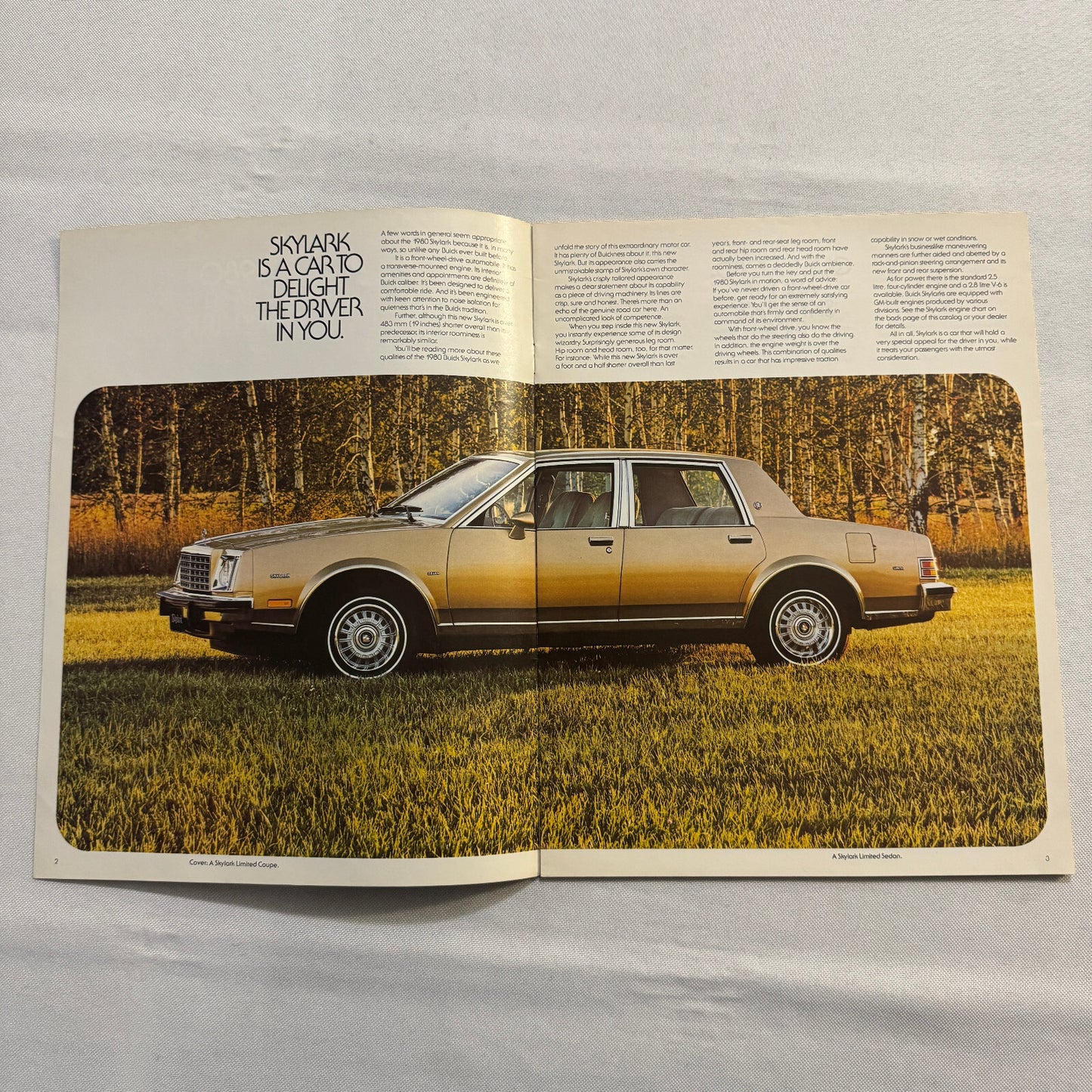 1980 Buick Skylark Car Sales Brochure Catalog Vintage Car Advertising