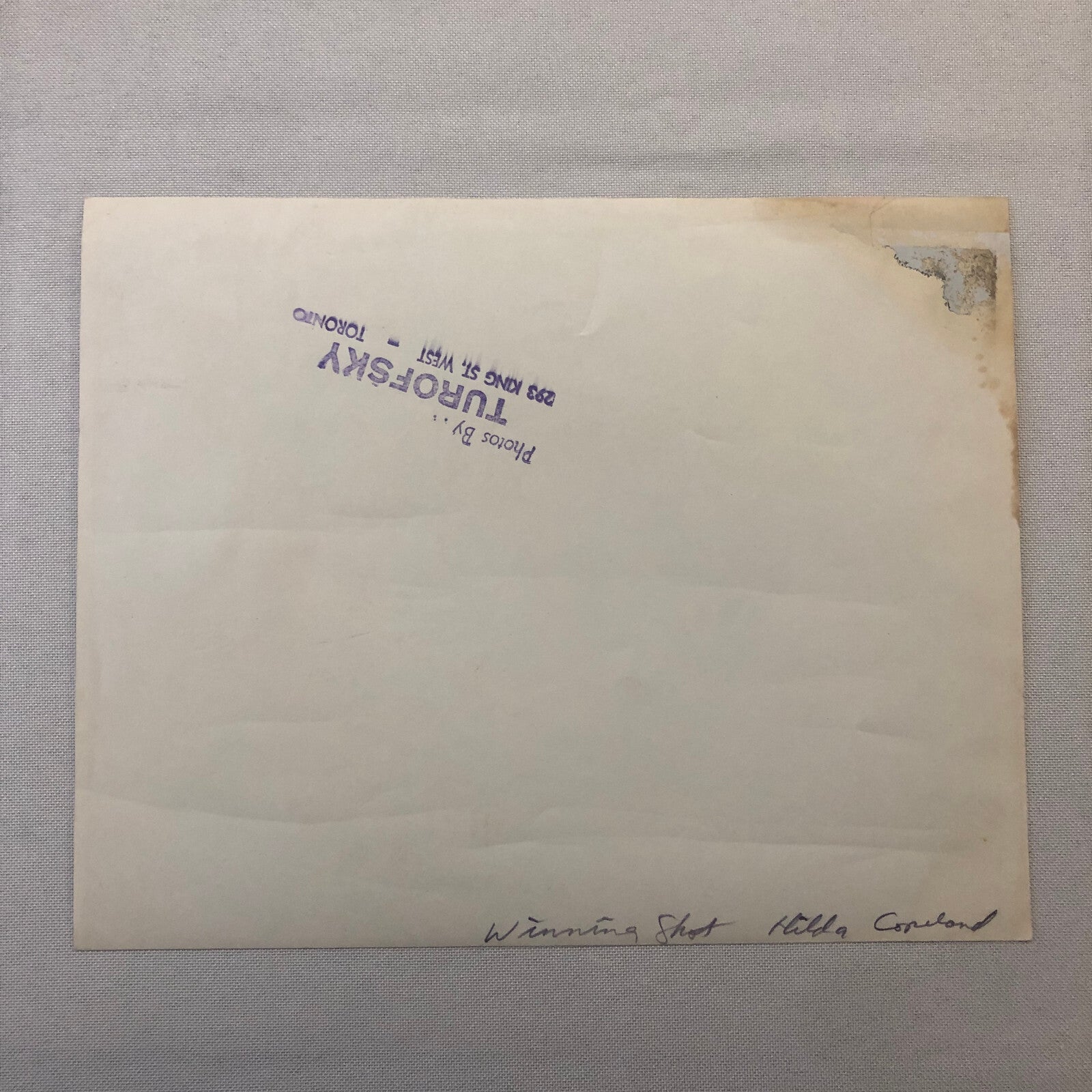 Vintage Horse Racing Photo Photograph TUROFSKY