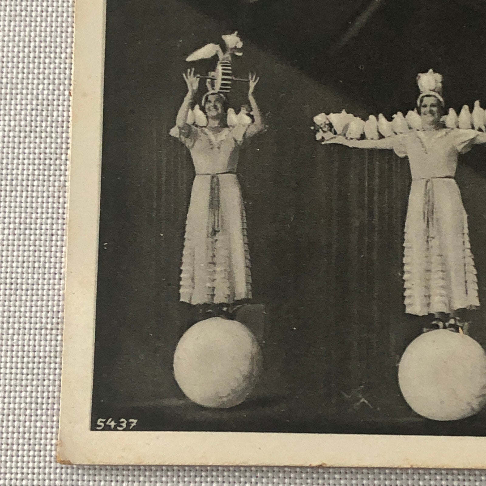 Circus Bird Training Act Postcard Post Card Vintage Mirza's Pracht Tauben Akt