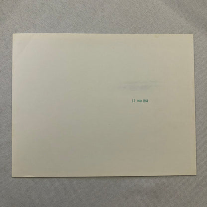 Volkswagen VW Beetle Factory Press Photo Photograph Print