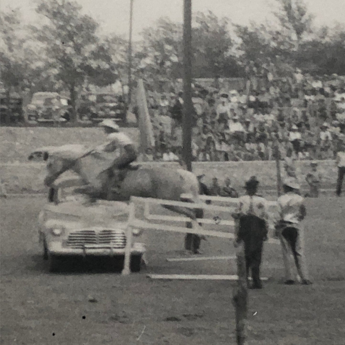 Horse Jumping Over Car Automobile Vintage Photo Photograph