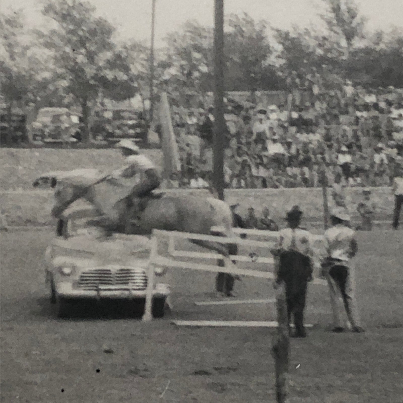 Horse Jumping Over Car Automobile Vintage Photo Photograph
