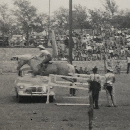Horse Jumping Over Car Automobile Vintage Photo Photograph