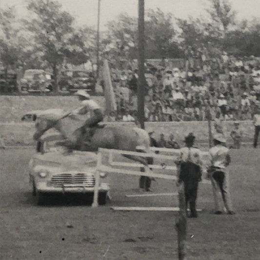 Horse Jumping Over Car Automobile Vintage Photo Photograph